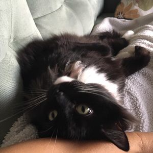 Meet your Posher, Cindy